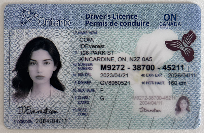 Buy Ohio ID Card Online